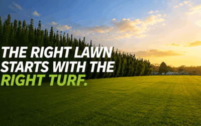 Why Kikuyu Turf Is One of the Best Lawn Choices for Northland