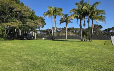 Why the Same Turf Can Perform Differently on Two Properties