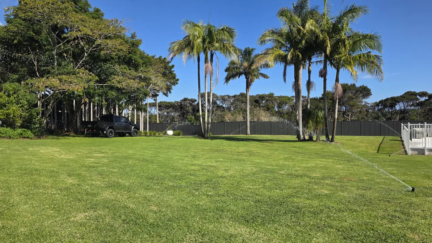 same-turf-different-properties-northland-lawn Wide, freshly established kikuyu lawn on a Northland property, with palm trees, a black fence and sprinklers watering the grass under a clear blue sky