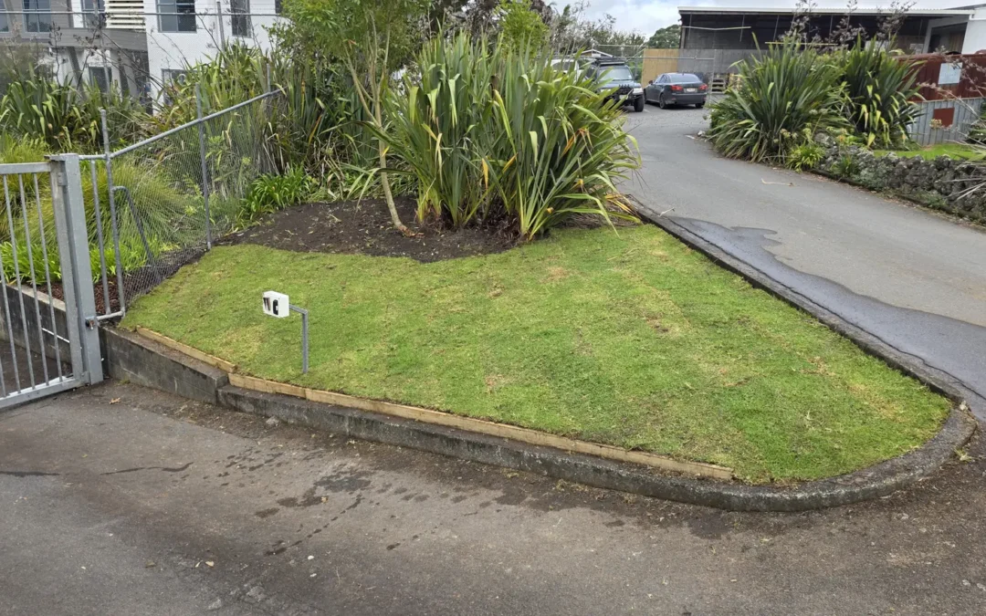 Kaikohe District Court